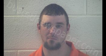 JOHN W BERNARD | 2020-02-29 01:48:00 Pulaski County, Kentucky Booking
