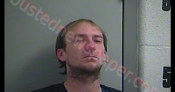 ADAM N MATHEWS | 2020-02-29 15:10:00 Russell County, Kentucky Booking