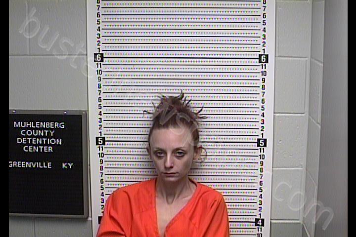WELBORN, AMBER MICHELE #, Muhlenberg County, Kentucky - 2020-02-29