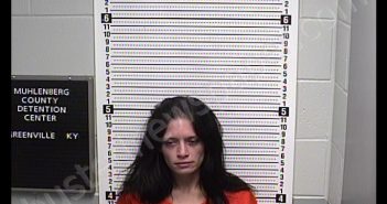 <B>STOUT</B>, <B>SALLY</B> <B>JO</B> #, Muhlenberg County, Kentucky - 2020-02-29