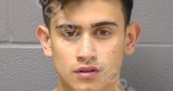 CAMACHO, JOSE A | 2020-02-29 22:32:00 Will County, Illinois Booking