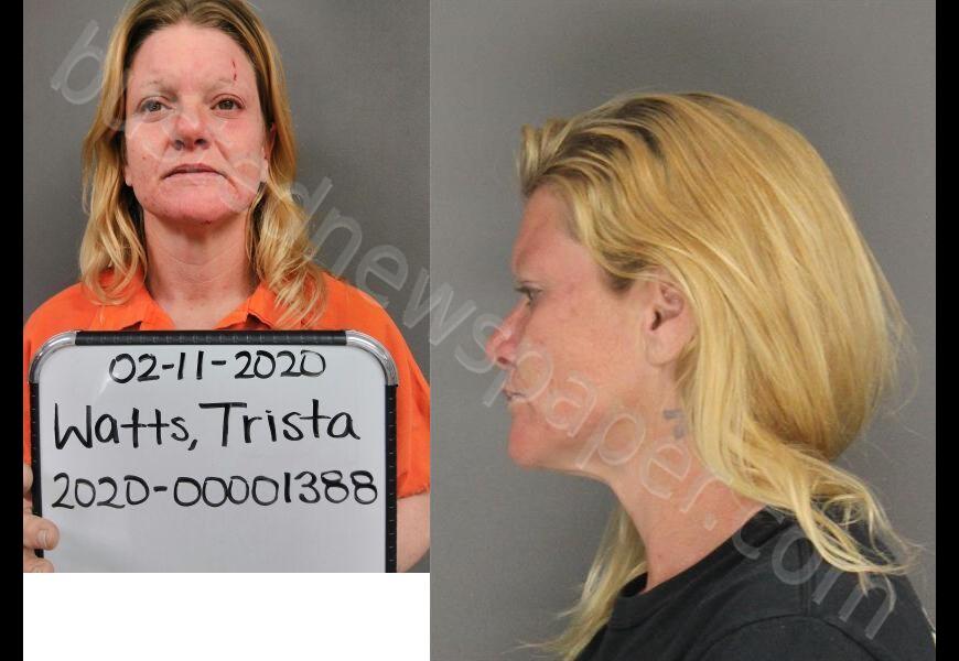 WATTS, TRISTA LEE ANN #, Sebastian County, Arkansas - 2020-02-29 17:23:00