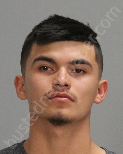 RIVERA, CHRISTOPHER RODRIGO #, Brazos County, Texas - 2020-03-01