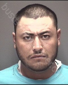 PEREZ HERNANDEZ, CARLOS FELIX | 2020-03-01 20:05:00 Galveston County, Texas Booking