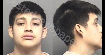 BENITEZ,KEVIN JADE | 2020-03-01 20:15:00 Saline County, Kansas Booking