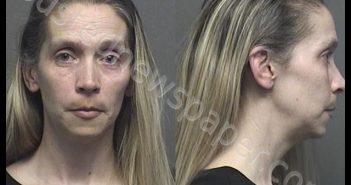 TIMMONS,REBECCA ILENE | 2020-03-01 11:25:00 Saline County, Kansas Booking