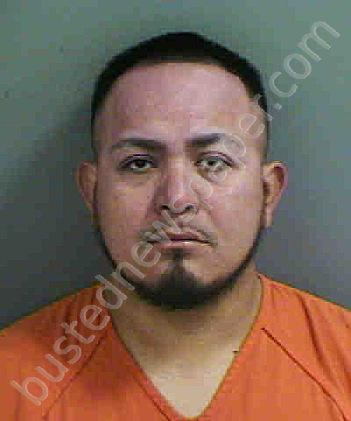 SEBASTIAN,MATEO #, Collier County, Florida - 2020-03-01
