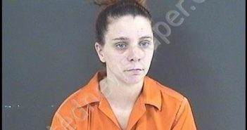 JOHNSON, TARYN ELAINE | 2020-03-02 03:20:00 Roanoke County, Virginia Booking