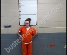 VALERIE MILLER | 2020-03-02 00:05:00 Morgan County, Tennessee Booking