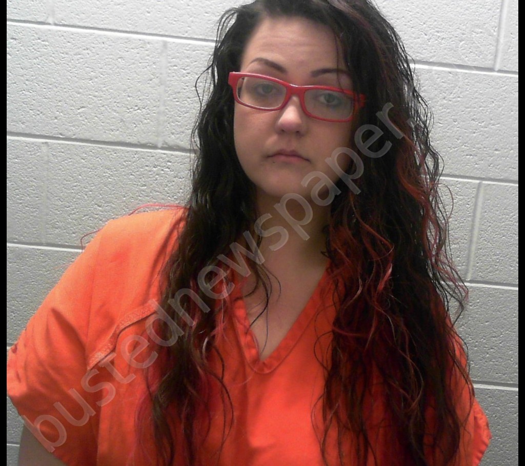 ANDRICH, LEA ELIZABETH #, Taylor County, West Virginia - 2020-03-03 21:37:00