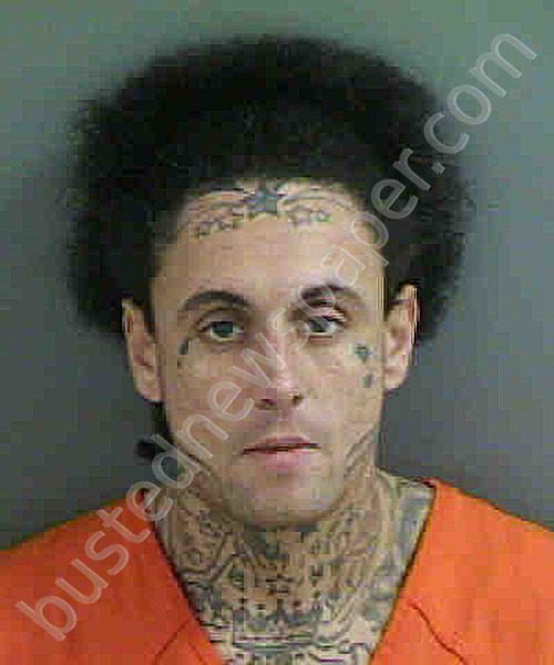HOLLOWAY,CHRISTOPHER #, Collier County, Florida - 2020-03-03