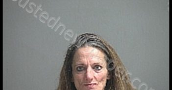 BRANDAL JODIE SUE | 2020-03-03 Sandusky County, Ohio Booking