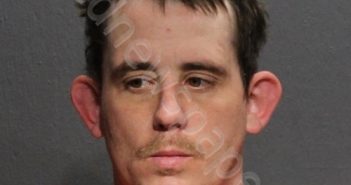 WILLIAM H HARRINGTON | 2020-03-03 00:19:00 Western Tidewater, Virginia Booking