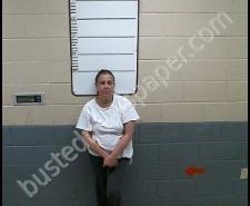 JENNIFER ROWLAND | 2020-03-03 13:14:00 Morgan County, Tennessee Booking