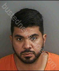 CHAVEZ,BRANDON DAVID | 2020-03-04 Collier County, Florida Booking