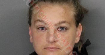 SAMANTHA ROSE CULP | 2020-03-04 01:31:00 Anderson County, South Carolina Booking