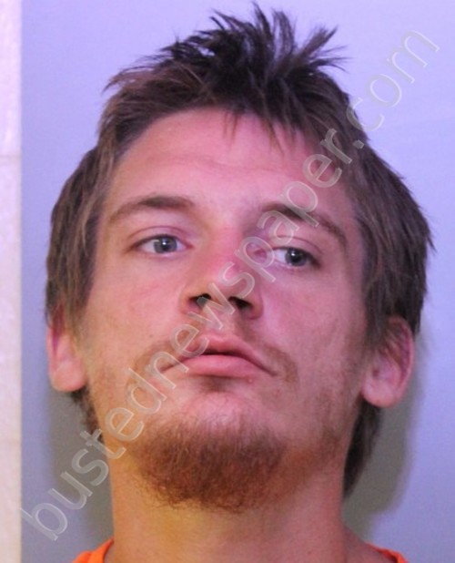 LOWE, AUSTIN WADE #, Polk County, Florida - 2020-03-04