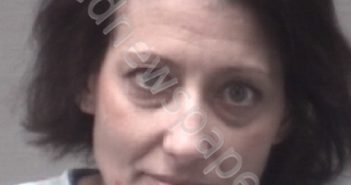 SANDLIN, CRYSTAL NICOLE | 2020-03-04 New Hanover County, North Carolina Booking