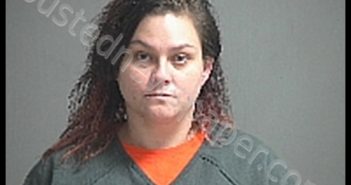DAVIS DANIELLE M | 2020-03-04 Sandusky County, Ohio Booking