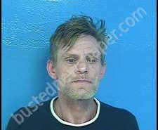 ERVIN SHEFFIELD | 2020-03-04 22:39:00 Sullivan County, Tennessee Booking
