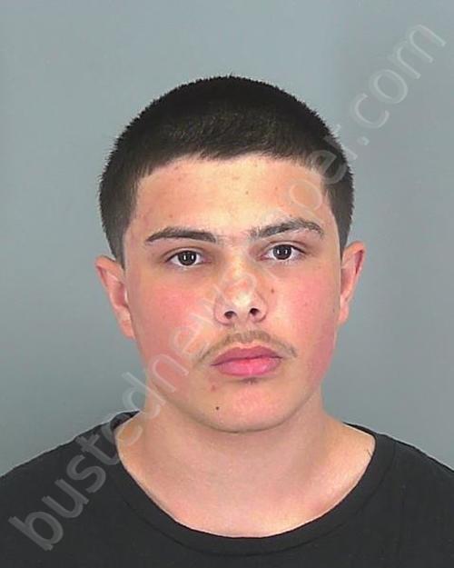 WILBER ANTHONY AUSTIN #, Spartanburg County, South Carolina - 2020-03-05 15:31:10