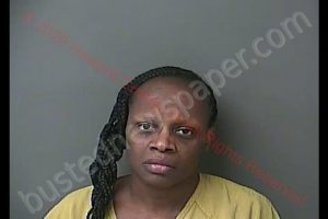 SARITA SHANAY WHITE | 2020-03-05 23:02:41 Howard County, Indiana Booking