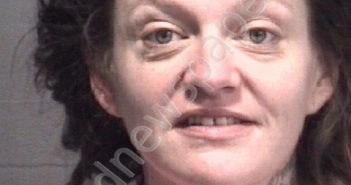 FERGUSON, TINA MARIE | 2020-03-05 New Hanover County, North Carolina Booking