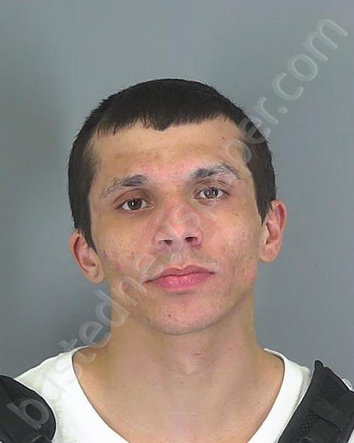 JACOB MATTHEW SELLAR-DECK #, Spartanburg County, South Carolina - 2020-03-05 15:51:54