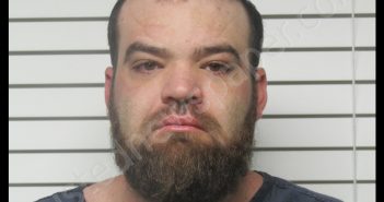 <B>DRU</B> <B>LEWIS</B> <B>WOOD</B> #, Christian County, Missouri - 2020-03-05 03:48:00