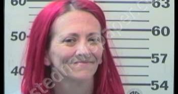 NILL, LORI, BROOKE | 2020-03-06 Mobile County, Alabama Booking