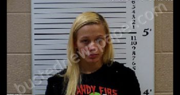 DOCKERY, KELLY BRE | 2020-03-06 07:45:00 Cherokee County, North Carolina Booking