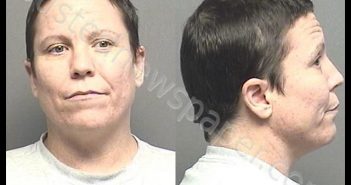 EATON,DANIELLE ALICE MARIE | 2020-03-06 13:55:00 Saline County, Kansas Booking