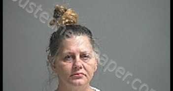 ANDREWS CHELSI D | 2020-03-06 Sandusky County, Ohio Booking