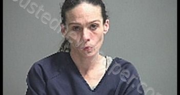 HEATH MANDY K | 2020-03-07 Sandusky County, Ohio Booking