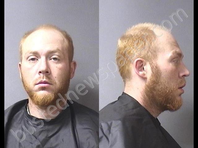 CARRELL, JOSHUA DAVID #, Madison County, Indiana - 2020-03-08 17:00:00