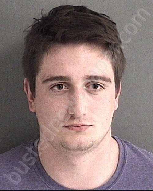 BAILEY, TROY MATTHEW #, Story County, Iowa - 2020-03-08