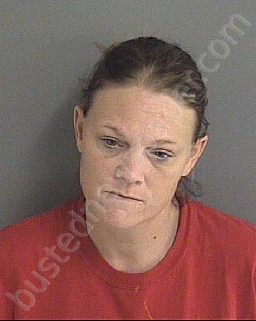 GROAT, SHANNON RENAE #, Story County, Iowa - 2020-03-10