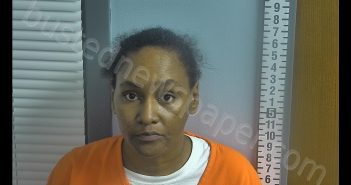 ANGEL LYNNETTE GASTON | 2020-03-10 00:35:00 Ottawa County, Ohio Booking