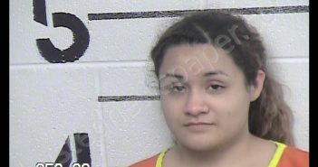 HERNANDEZ, LETYCIA | 2020-03-10 Chase County, Kansas Booking