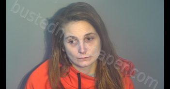CRYSTAL ARLEEN BARRETT | 2020-03-11 10:52:00 Nelson County, Kentucky Booking