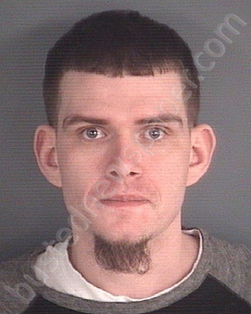 CARVER, DYLAN KENNETH #, Clay County, Florida - 2020-03-11