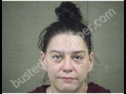 PULLEY, HOLLY | 2020-03-12 Harnett County, North Carolina Booking