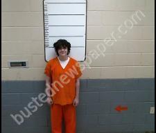 ASHLEY DYLE #, Morgan County, Tennessee - 2020-03-13 01:40:00