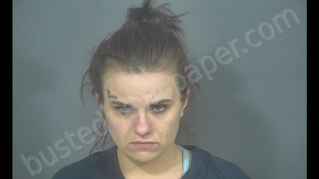 CHELSEY JOSEPHINE CHAPMAN #, St. Joseph County, Indiana - 2020-03-13 14:22:00