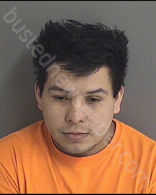 GARCIA GOMEZ, MARIO EDGARDO #, Story County, Iowa - 2020-03-13