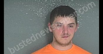 ELLERY, BROCK LOUIS | 2020-03-14 Van Buren County, Michigan Booking