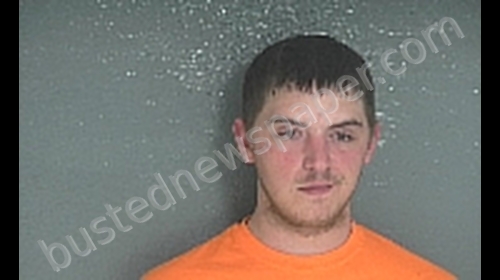 ELLERY, BROCK LOUIS #, Van Buren County, Michigan - 2020-03-14