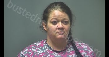 JANELLE LYNN SMITH | 2020-03-14 18:12:00 Isabella County, Michigan Booking