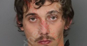 WILLIAM CHANLER DAKOTA HOLMES | 2020-03-14 07:10:00 Anderson County, South Carolina Booking