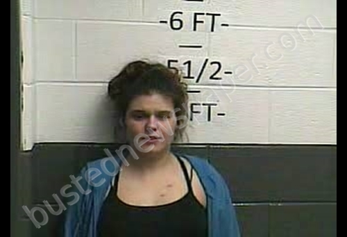 NIKKI MARIE ISAAC #, Whitley County, Kentucky - 2020-03-14 21:44:00